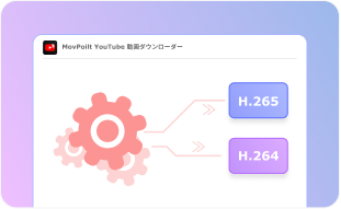 Flexible Video Encoding Options