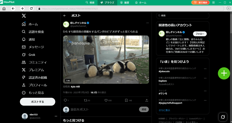 X動画を検索